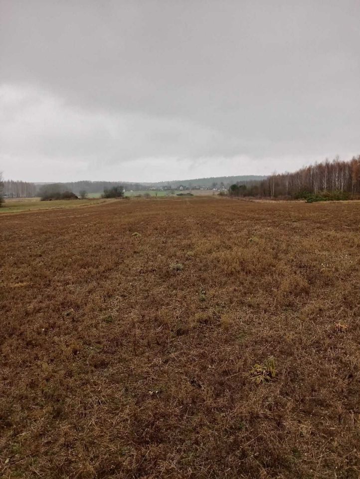 Działka rolno-budowlana Wólka Ratowiecka. Zdjęcie 8