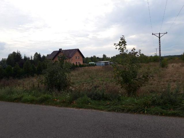Działka rolna Kaszewice. Zdjęcie 1