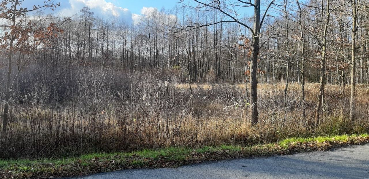 Działka rolno-budowlana Dąbrówka Podbuk