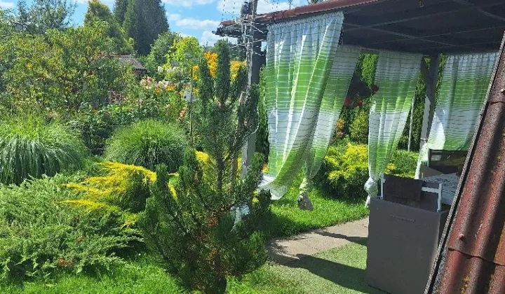 Działka rod Jastrzębie-Zdrój, ul. Wojciecha Korfantego