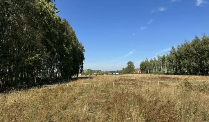 Działka rolno-budowlana Aleksandria