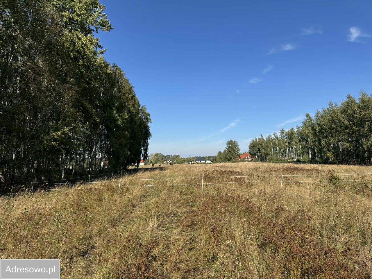 Działka rolno-budowlana Aleksandria. Zdjęcie 1