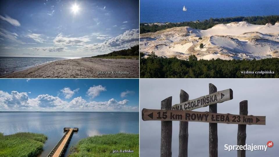 Działka rekreacyjna Łokciowe. Zdjęcie 6