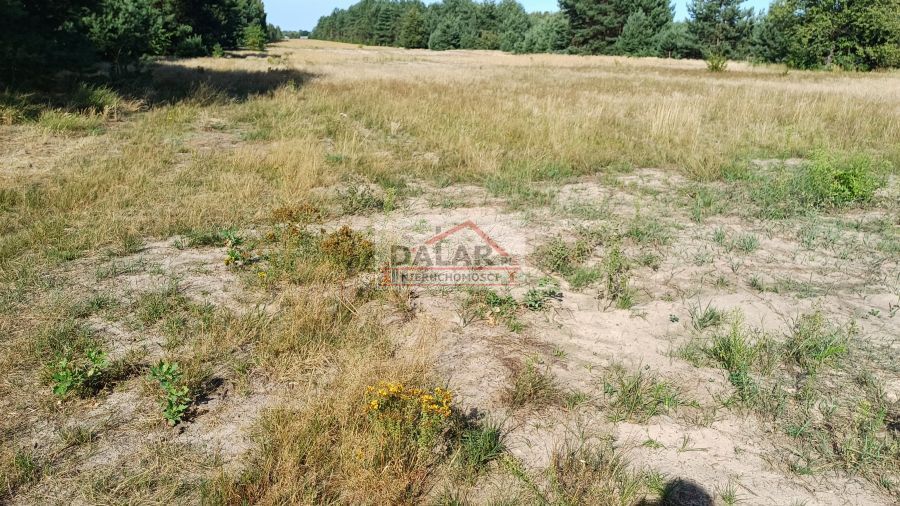 Działka budowlana Grabów nad Pilicą. Zdjęcie 14