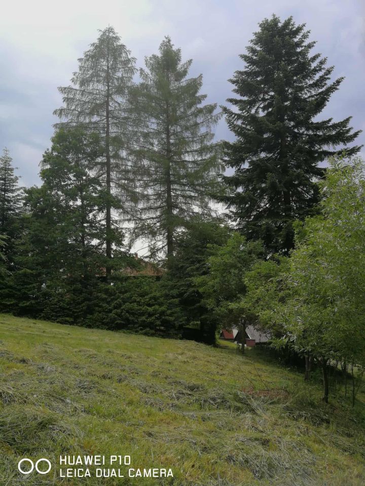 Działka budowlana Pewel Wielka. Zdjęcie 9