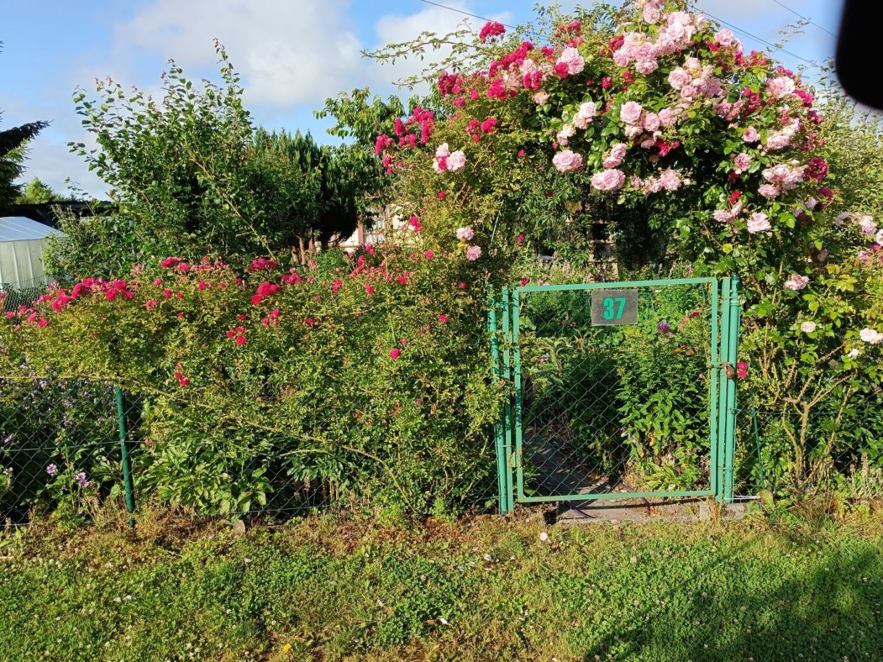 Działka rod Niekłonice. Zdjęcie 2