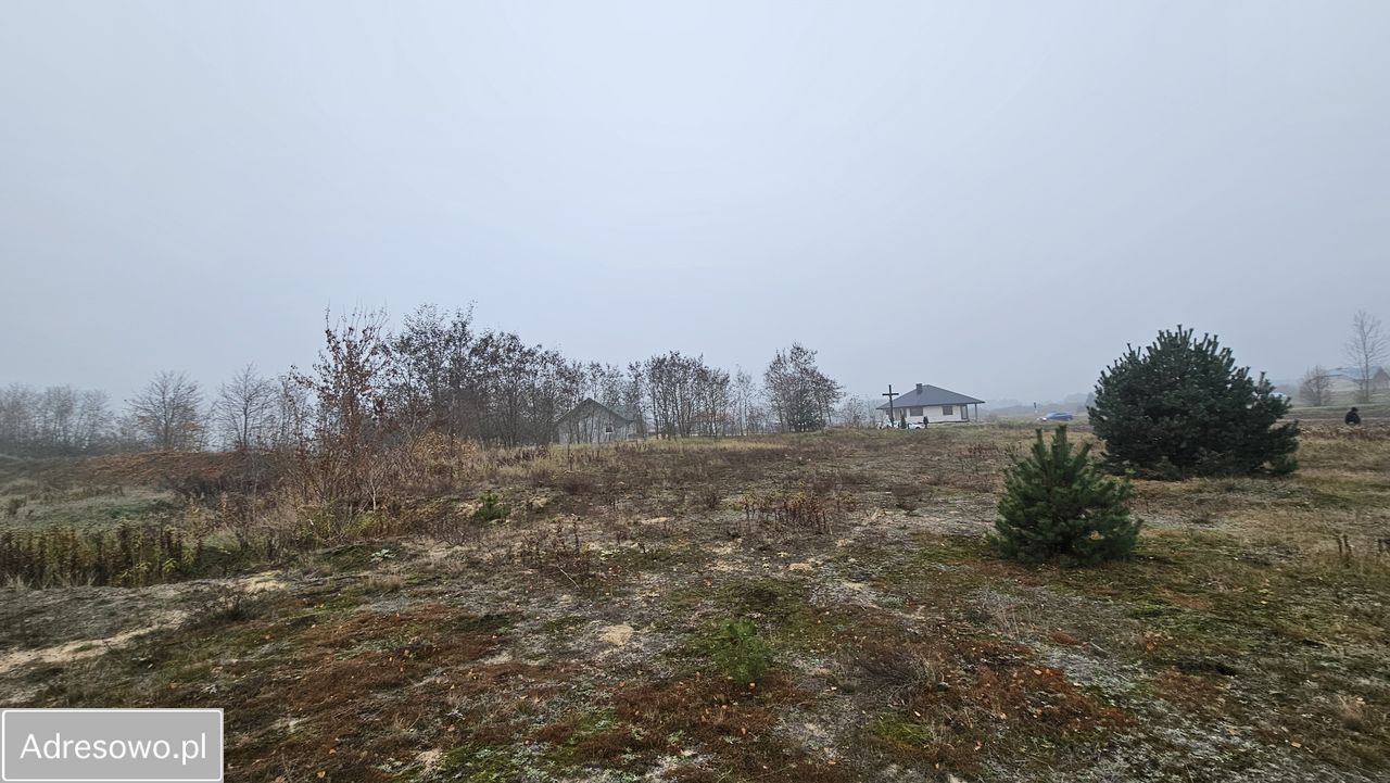 Działka rolna Nowa Wola. Zdjęcie 2