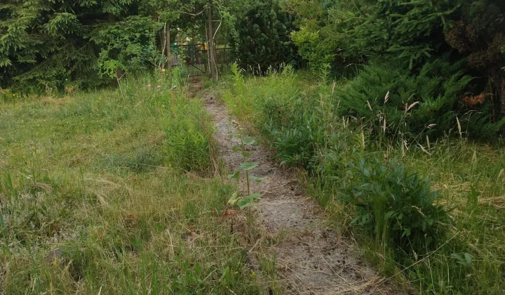 Działka rekreacyjna Gorzów Wielkopolski Zawarcie, ul. Kobylogórska