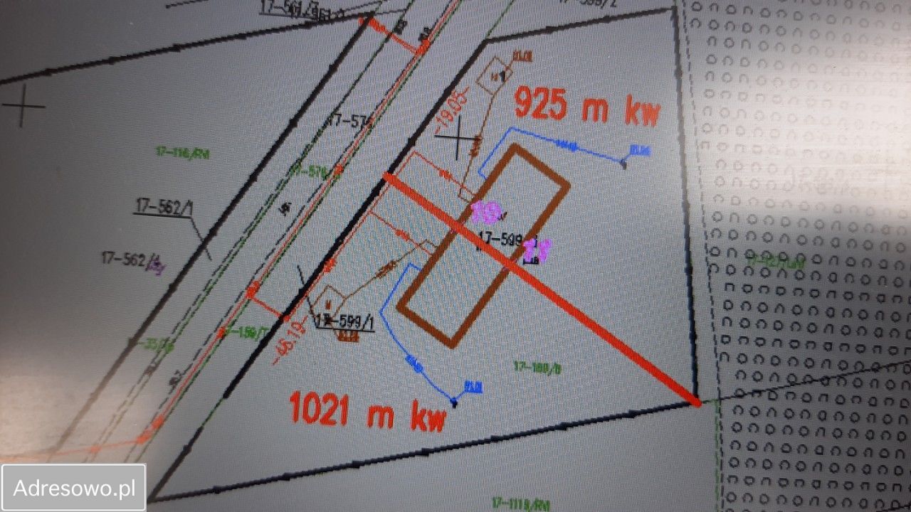 bliźniak Łacha. Zdjęcie 4