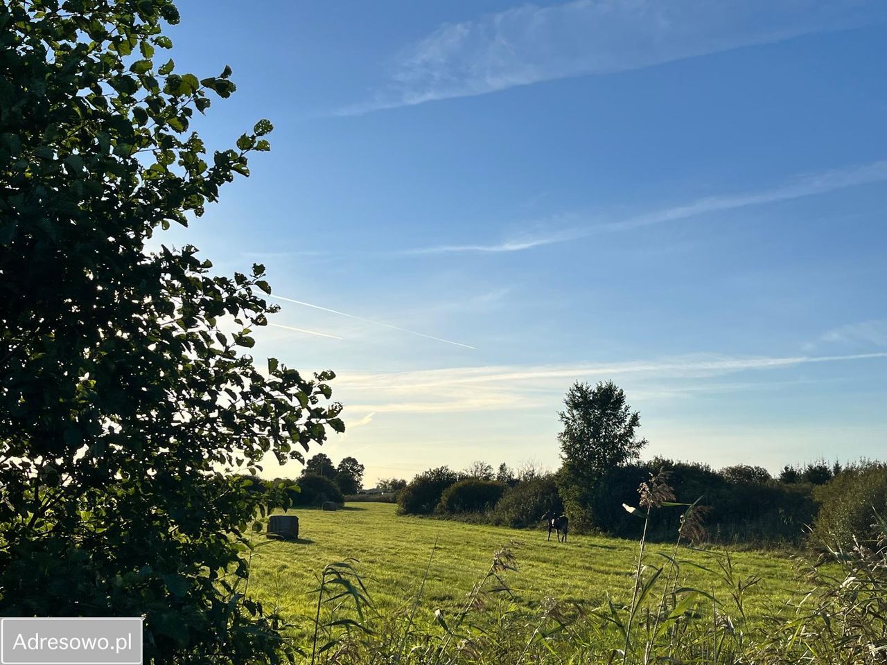 Działka rekreacyjna Karwia. Zdjęcie 8