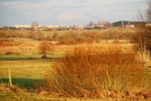 Działka rolno-budowlana Bogusze. Zdjęcie 4