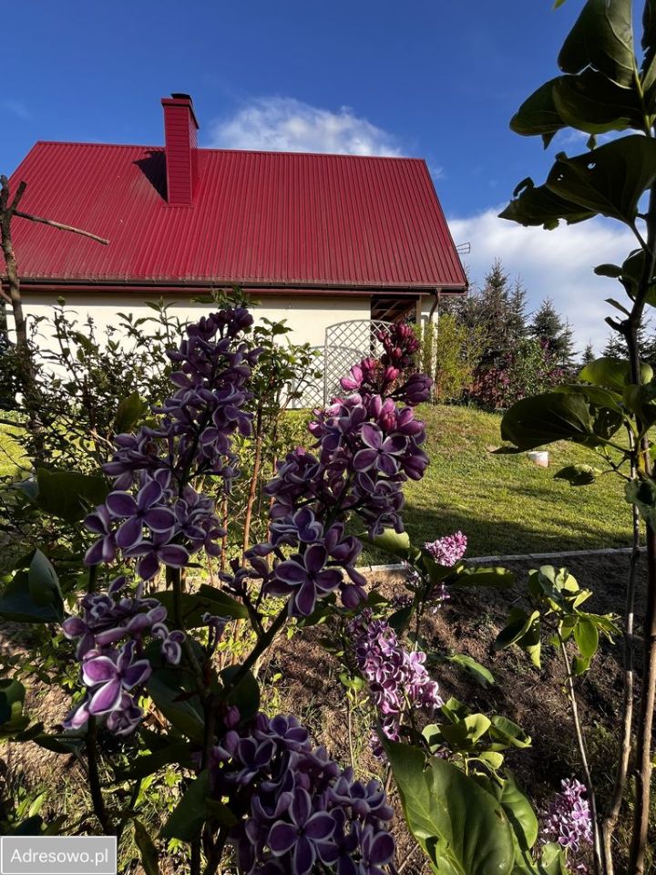 dom wolnostojący, 3 pokoje Zynie. Zdjęcie 20