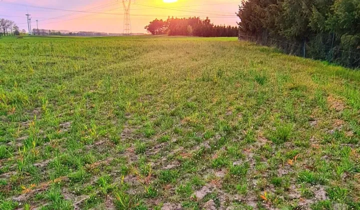 Działka budowlana Parsów