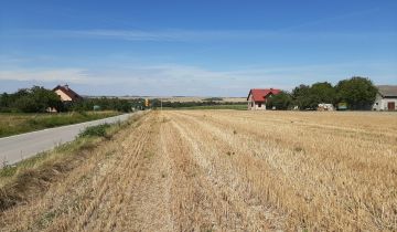 Działka budowlana Sędziszów Rajsko, ul. Rajska