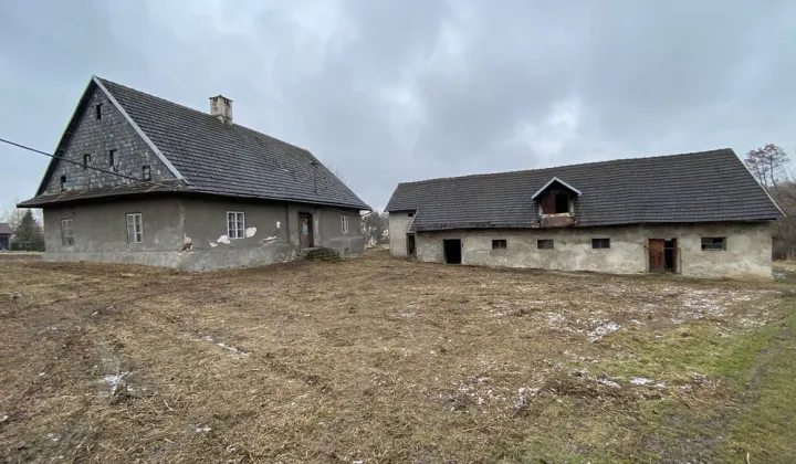 dom wolnostojący Puńców