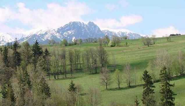 Działka inwestycyjna Zakopane Zoniówka, ul. Zoniówka. Zdjęcie 1