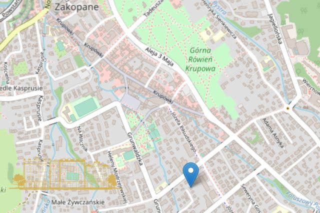 dom wolnostojący, 10 pokoi Zakopane, ul. Grunwaldzka. Zdjęcie 10