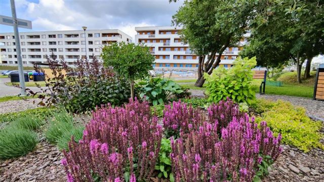 Mieszkanie 3-pokojowe Koszalin, ul. Wenedów. Zdjęcie 6