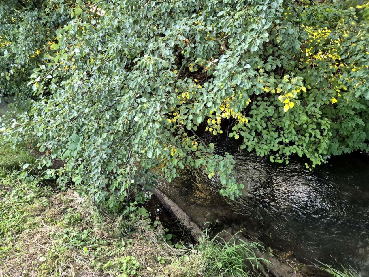 Działka rolno-budowlana Bochotnica, ul. Nałęczowska. Zdjęcie 13