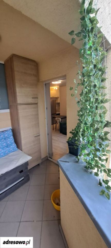 Mieszkanie 2-pokojowe Wrocław Psie Pole, ul. Sycowska. Zdjęcie 13
