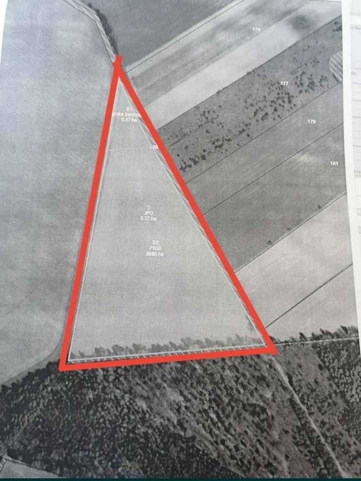 Działka rolna Dębnica Kaszubska. Zdjęcie 2