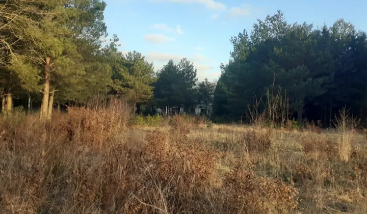 Działka budowlana Łukta