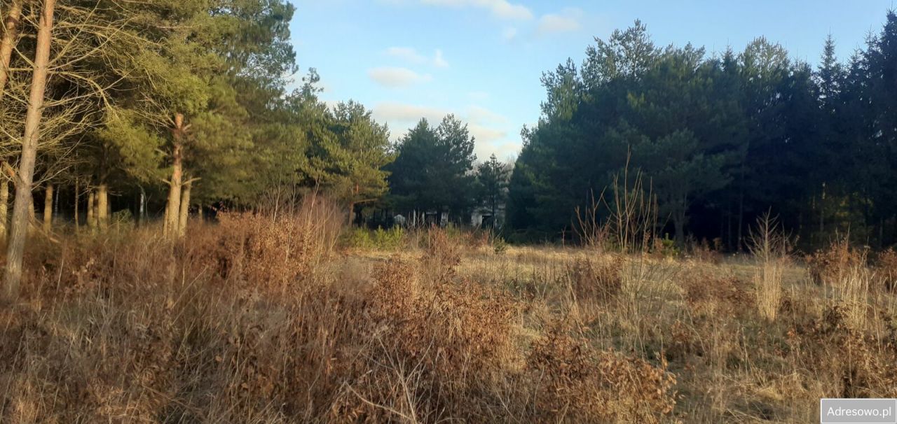 Działka budowlana Łukta