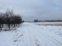 Działka rolna Dziecinów. Zdjęcie 3