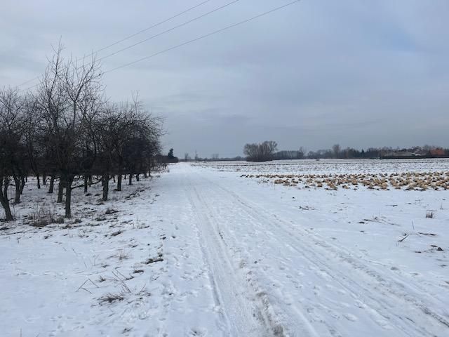 Działka rolna Dziecinów. Zdjęcie 4