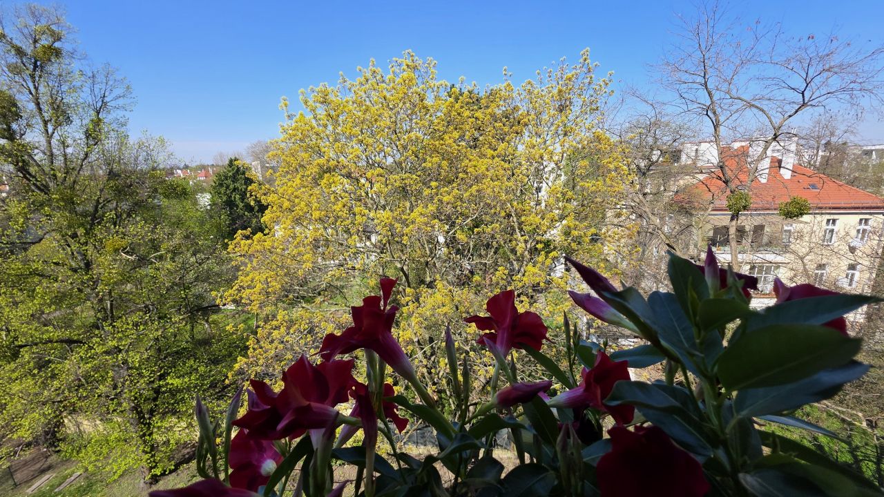 Mieszkanie 1-pokojowe Wrocław Krzyki, ul. Powstańców Śląskich. Zdjęcie 12