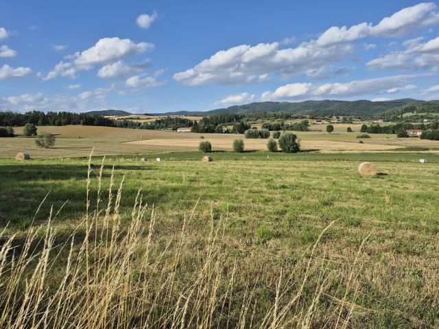 Działka budowlana Dzikowiec, ul. Kolonia. Zdjęcie 1