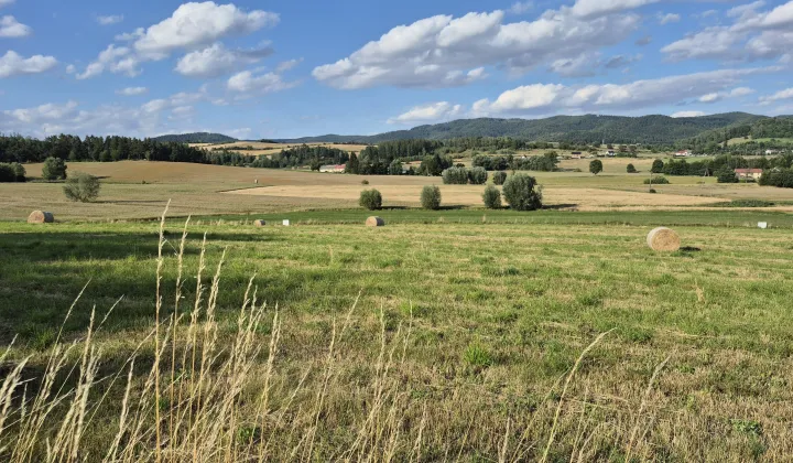Działka budowlana Dzikowiec, ul. Kolonia