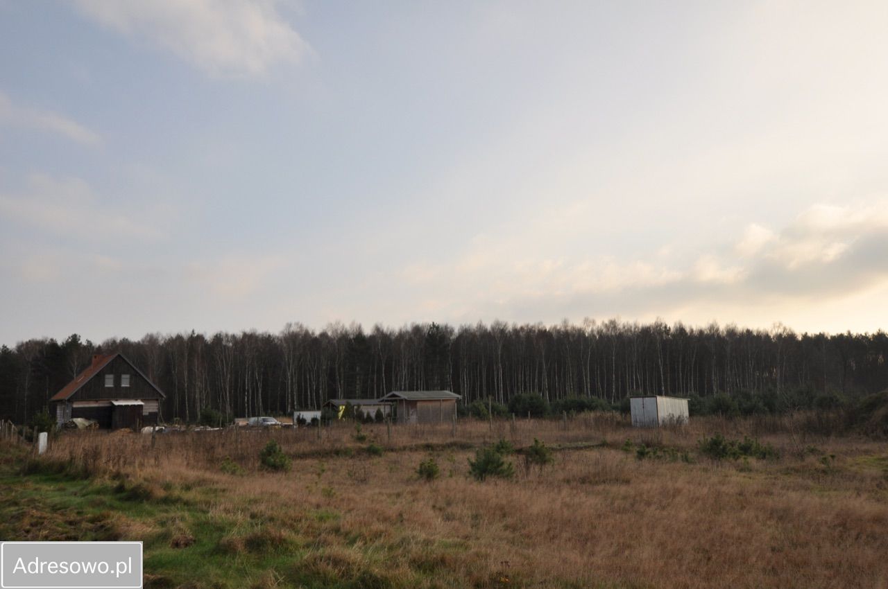 Działka rolno-budowlana Radzewo. Zdjęcie 6