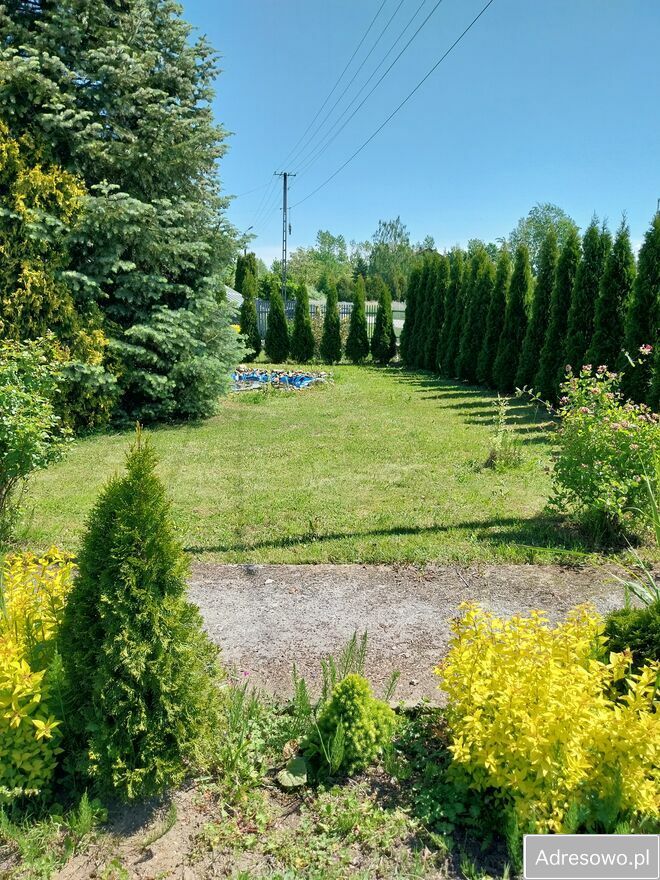 gospodarstwo, 3 pokoje Górki. Zdjęcie 7