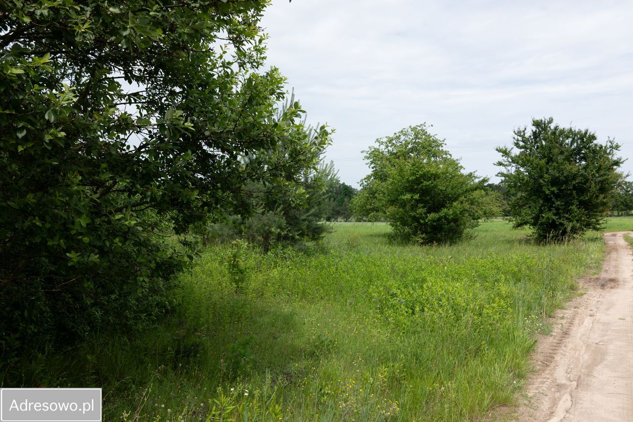 Działka Zofijówka. Zdjęcie 2