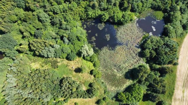 Działka rolna Jarogniew. Zdjęcie 3