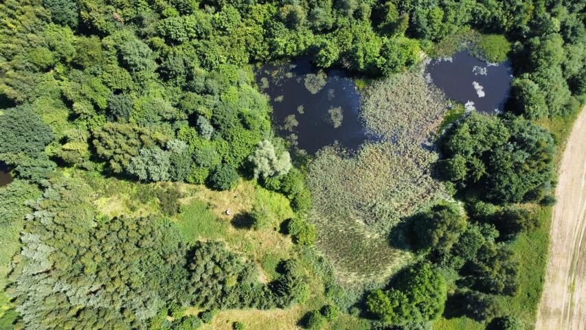 Działka rolna Jarogniew. Zdjęcie 3