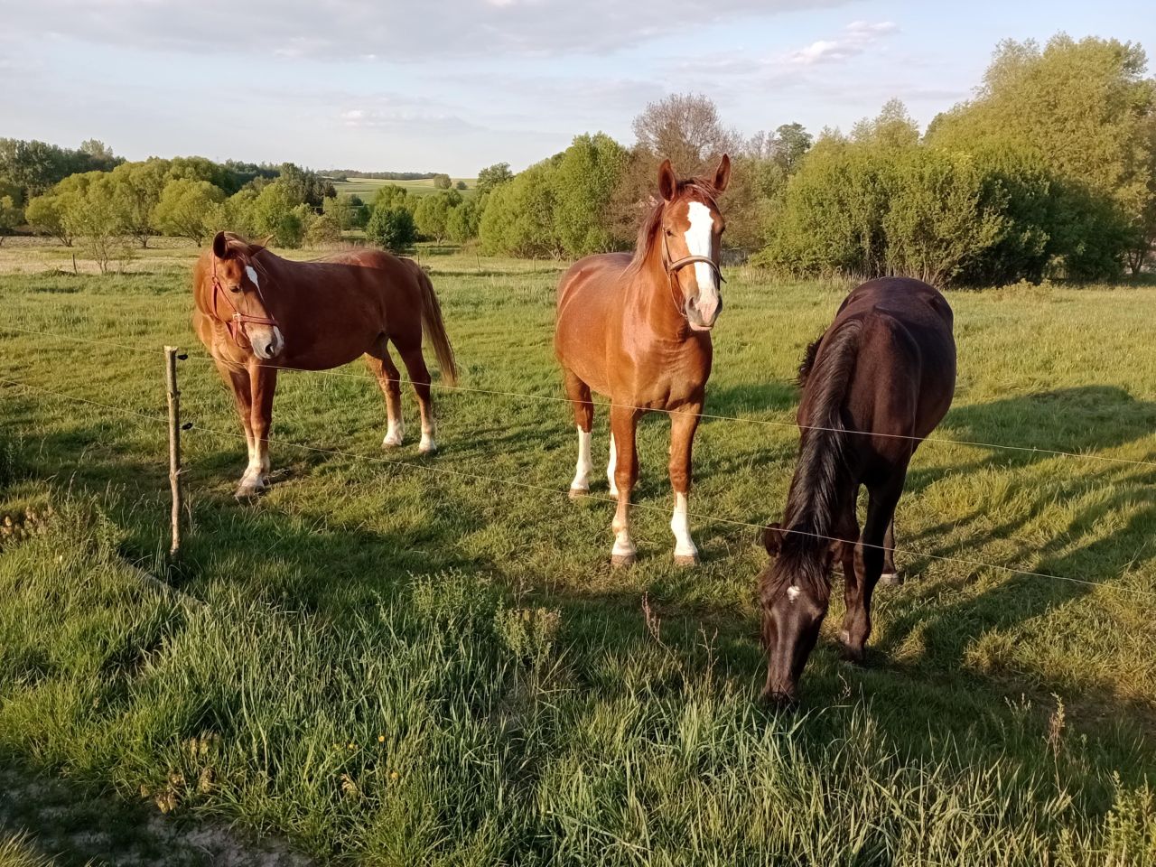 dom wolnostojący, 8 pokoi Radostów Średni, Radostów Średni. Zdjęcie 30