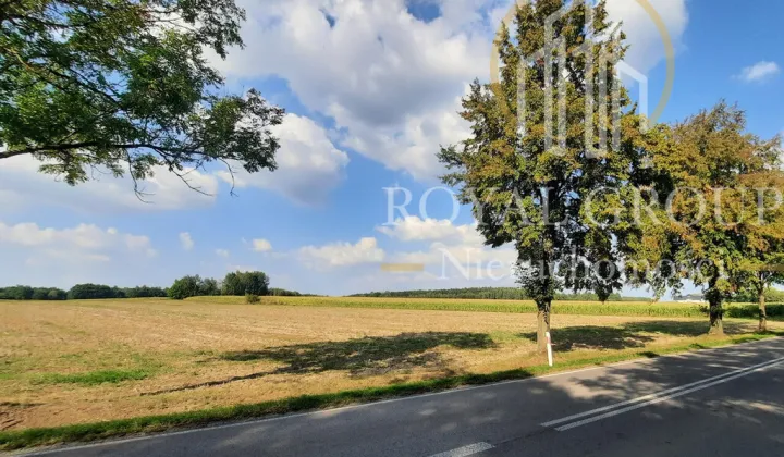 Działka rolna Rudno