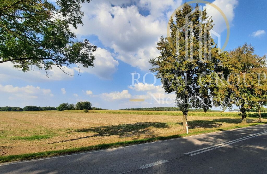 Działka rolna Rudno. Zdjęcie 1