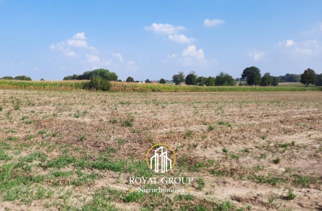 Działka rolna Rudno. Zdjęcie 4