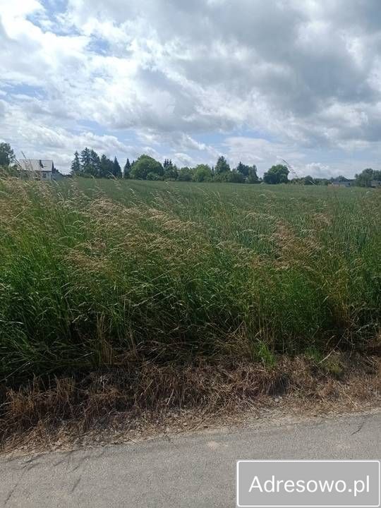 Działka budowlana Trzciana. Zdjęcie 4