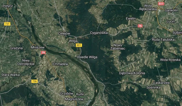 Działka leśna Wilga