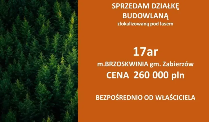 Działka budowlana Brzoskwinia, ul. Pod Brzozami