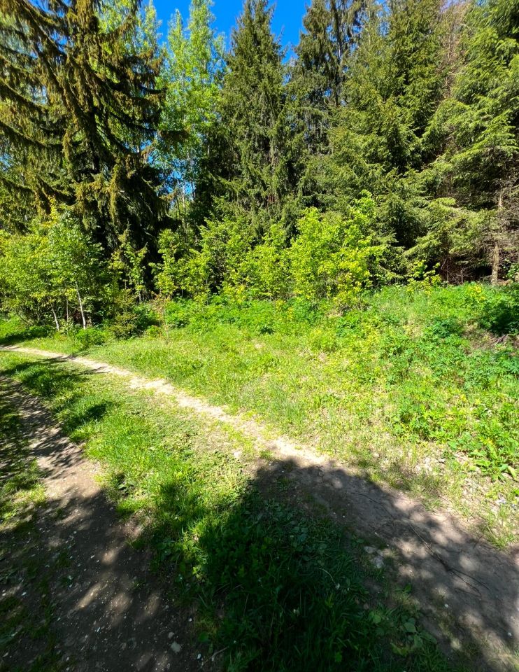 Działka leśna Kozaki. Zdjęcie 6