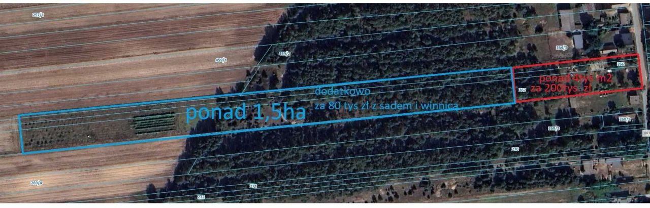 Działka budowlana Łazy-Dąbrowa. Zdjęcie 4