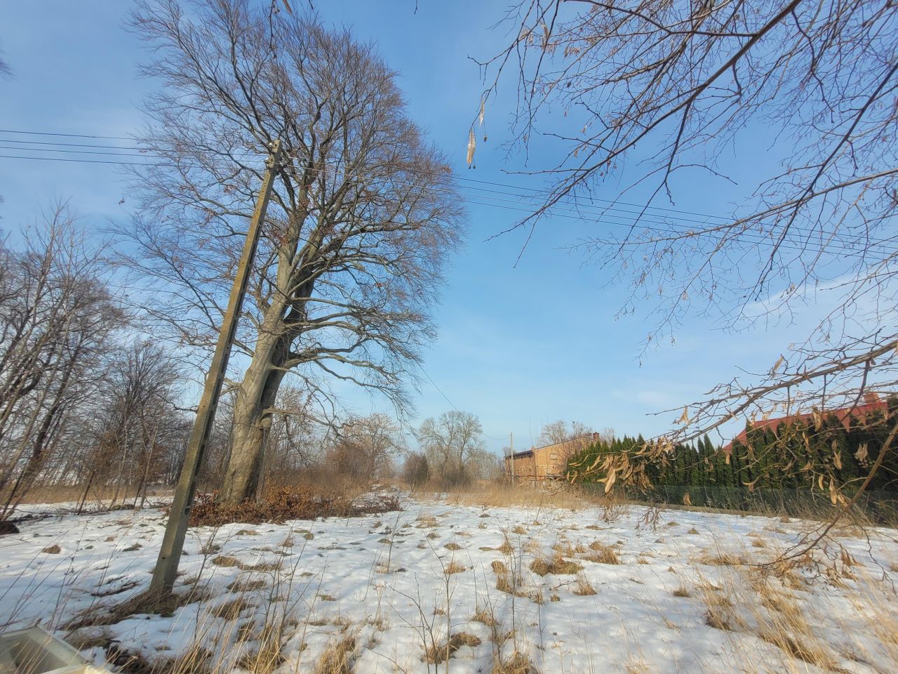 Działka siedliskowa Gdańsk Sobieszewo, ul. Dulkowa. Zdjęcie 4