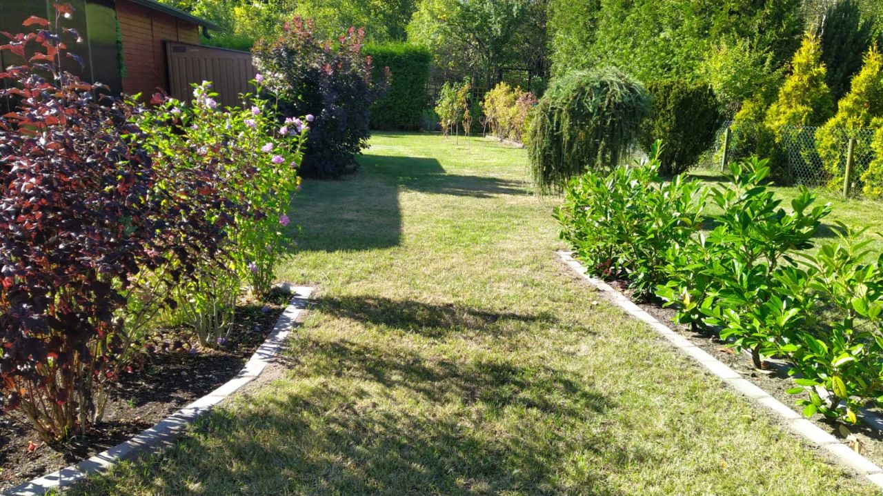 Działka rod Styrzyniec, Al. Krokusów. Zdjęcie 7