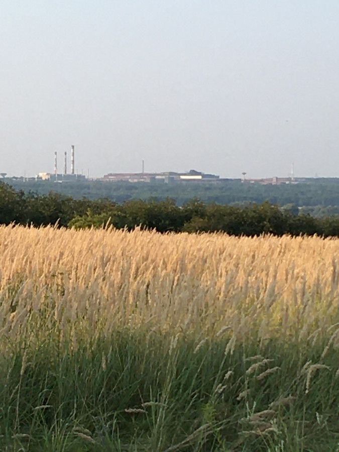 Działka rolno-budowlana Goździelin Na Wiatraku. Zdjęcie 4