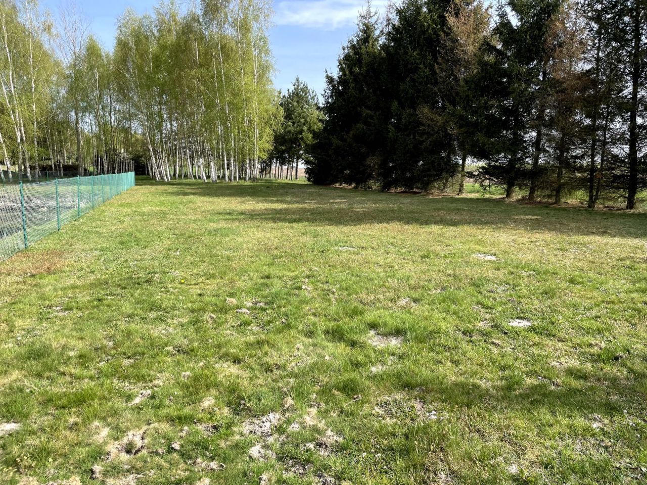 Działka budowlana Dąbie. Zdjęcie 2